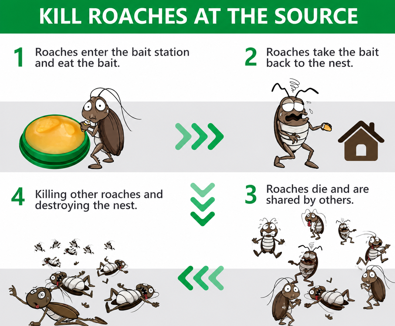 Cockroach Repellent Spray- Eliminate roaches & other insects from home