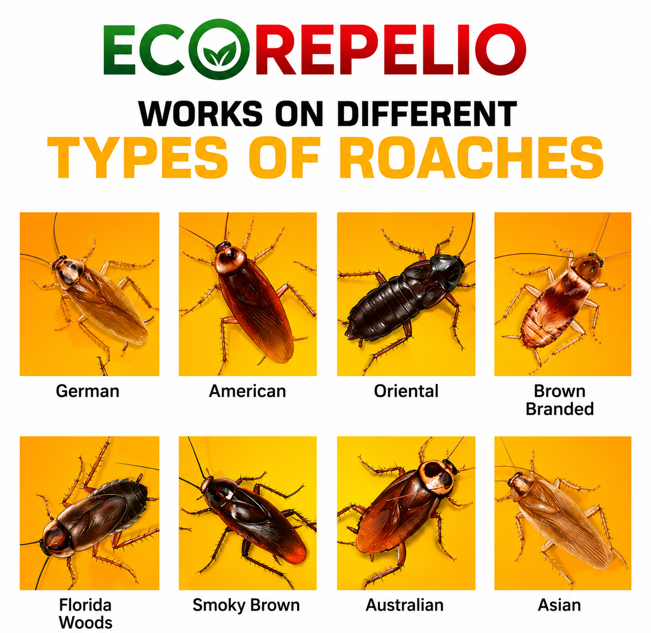 Cockroach Repellent Spray- Eliminate roaches & other insects from home