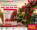 BalconyBloom Rose Seeds + Plant Booster Stick Free By Ecorepelio