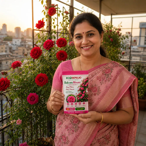 BalconyBloom Rose Seeds + Plant Booster Stick Free By Ecorepelio